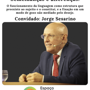 Autismo e Psicose: Semelhanças e diferenças. 2º LOTE